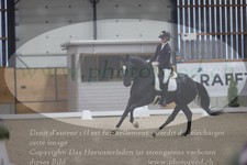 ref. photo 3382721
