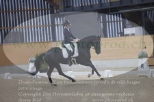 ref. photo 3382728
