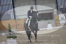 ref. photo 3382732