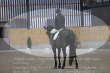 ref. photo 3382738