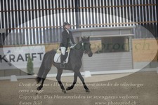 ref. photo 3382749