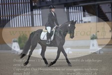 ref. photo 3382752