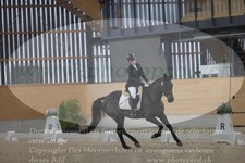 ref. photo 3382754