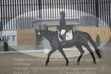 ref. photo 3382757
