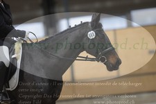 ref. photo 3382764