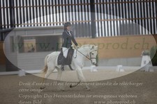 ref. photo 3382776