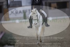 ref. photo 3382786