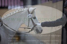 ref. photo 3382793