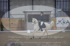 ref. photo 3382804