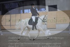 ref. photo 3382809