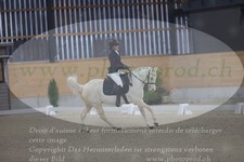 ref. photo 3382813