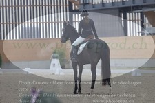 ref. photo 3382823
