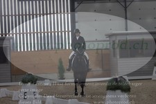 ref. photo 3382825