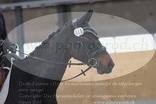 ref. photo 3382845