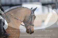 ref. photo 3382850