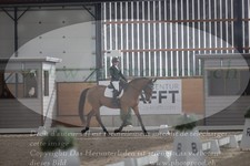 ref. photo 3382858