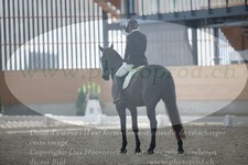 ref. photo 3382966