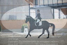 ref. photo 3382969