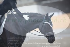 ref. photo 3382980