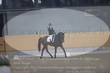ref. photo 3382984