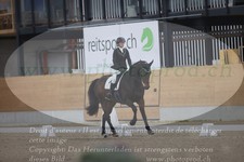 ref. photo 3382994