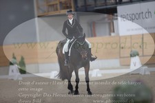 ref. photo 3383001