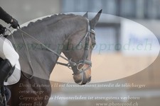 ref. photo 3383005