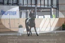 ref. photo 3383013