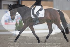 ref. photo 3383021