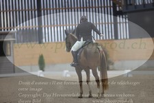 ref. photo 3383028