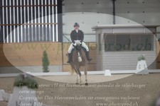 ref. photo 3383029