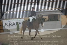 ref. photo 3383039
