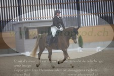 ref. photo 3383040