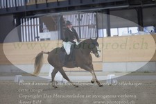 ref. photo 3383043