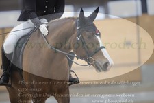 ref. photo 3383051