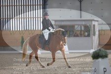 ref. photo 3383054