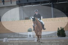 ref. photo 3383078