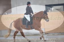 ref. photo 3383092