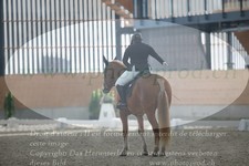 ref. photo 3383095