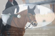 ref. photo 3383099