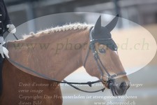 ref. photo 3383101