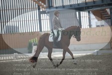 ref. photo 3383109