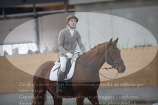 ref. photo 3383119
