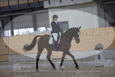 ref. photo 3383125