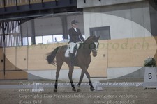 ref. photo 3383127