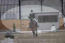 ref. photo 3383129
