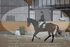 ref. photo 3383131