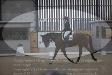 ref. photo 3383145