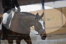 ref. photo 3383151