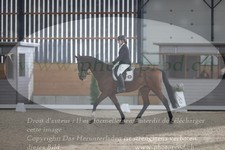 ref. photo 3383155